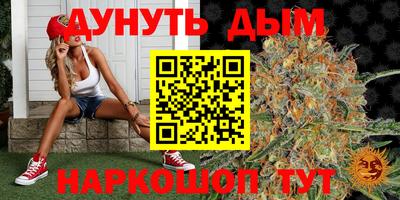 гашик Бузулук
